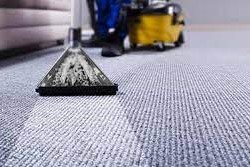 Carpet Cleaning